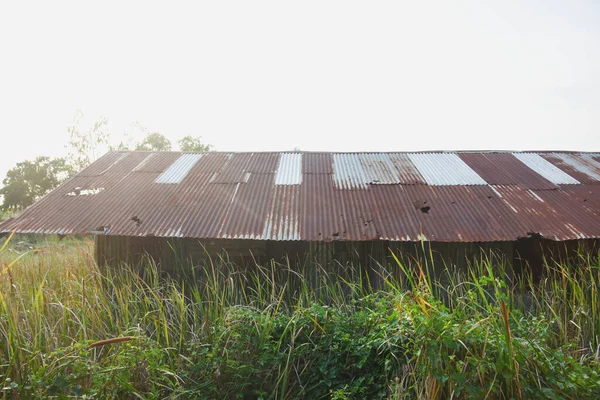 Old Tin House Forest Covered Grass Sky —  Fotos de Stock