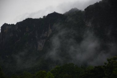 Dağın tepesinden manzara