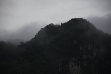 Dağın tepesinden manzara