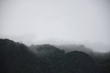 Dağın tepesinden manzara