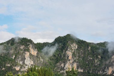 Dağın tepesinden manzara