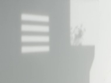 Ormanda parlayan güneşin gölgesi