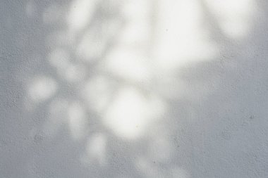 Ormanda parlayan güneşin gölgesi