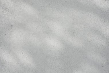 Ormanda parlayan güneşin gölgesi