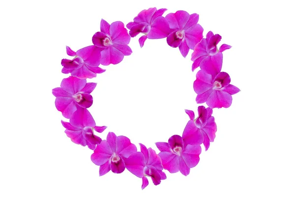 Orkidé Blomma Isolerad Vit Bakgrund — Stockfoto