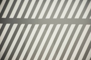 Ormanda parlayan güneşin gölgesi