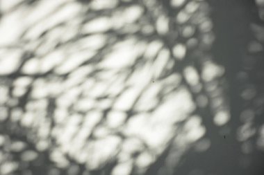 Ormanda parlayan güneşin gölgesi