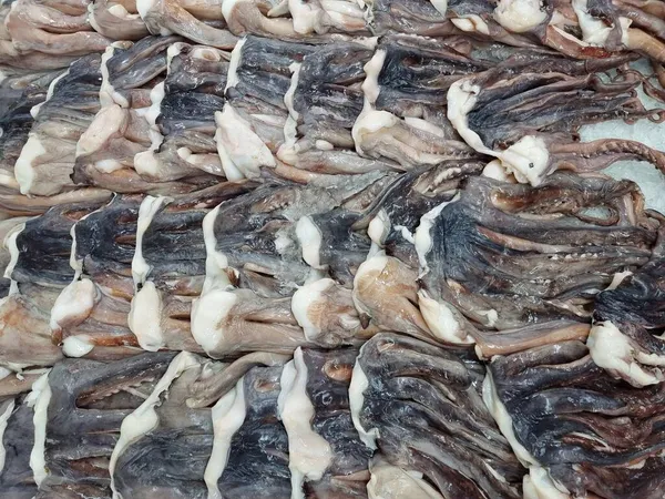Färska Stor Del Bläckfisken Till Försäljning Stormarknad Thailand — Stockfoto
