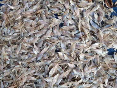 Bir sürü deniz balığı. Dilimlenmiş deniz balıkları açık havada solarlar. Güneşte solmuş balıklar. Kurutulmuş kurutulmuş kurutulmuş et balığı. Tayland deniz ürünleri.