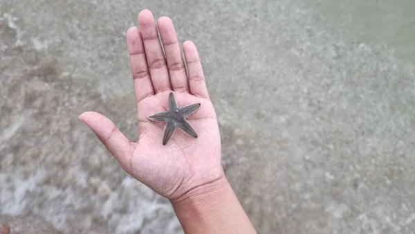 Uma Estrela Mar Mão Uma Praia Sonkhla Tailândia — Fotografia de Stock