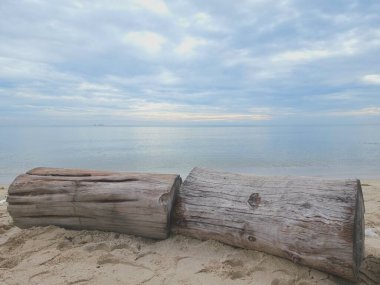 Büyük kütükler plaja yerleştirildi. Parlak mavi gökyüzü sabah.
