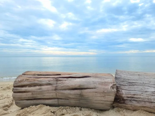 large logs was placed on the beach. Bright blue sky in the morning.