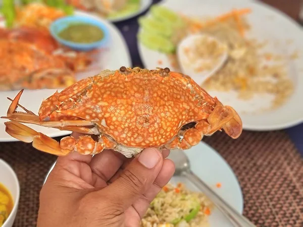 Man Hand Hålla Ångad Krabba Festen — Stockfoto