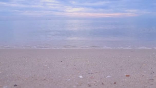 Маленька Хвиля Яка Хвиля Піщаному Пляжі Відкриття Відео Текстового Простору — стокове відео
