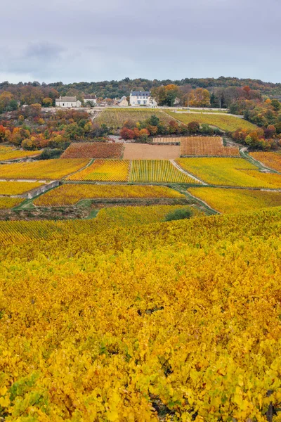 秋のサン ロメインとブドウ畑の風景 — ストック写真