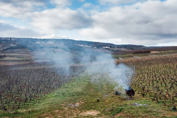 Vista Panorâmica Carrinho Mão Fumante Com Vinhas Durante Inverno — Fotografia de Stock