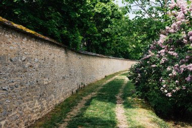 Baharda duvarın ve leylağın ortasındaki bir patikanın manzarası.