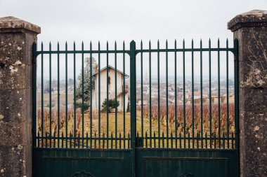 Üzüm bağlarının ve geleneksel binaların önü manzaralı..