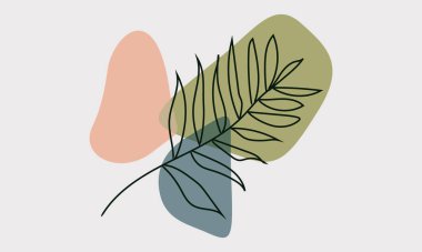 Botanik duvar sanat vektörü. Soyut şekilli yaprak çizimi. Baskı, kapak, duvar kağıdı, asgari ve doğal duvar sanatı için soyut bitki sanatı tasarımı. Vektör illüstrasyonu.