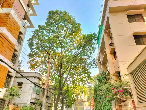 Inspiring View Modern City Wall Apartment Building Trees — Stock Photo, Image