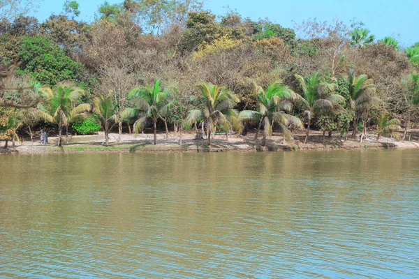 Mavi ve yeşil gölde yansımalı ördek yüzüyor.