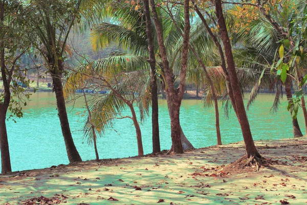 Утка Плавает Голубом Зеленом Озере Отражениями — стоковое фото