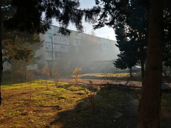 Brouillard Matinal Dans Parc — Photo