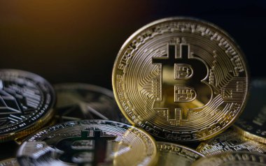 Bitcoin. BTC Kripto Para Birimi. Bozuk paraların üzerinde duran altın bitcoinler..