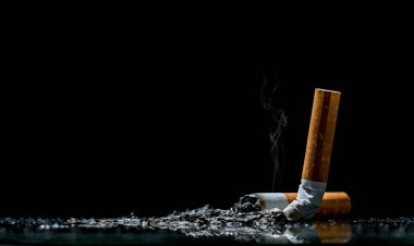 Cigarette.tobacco cigarette butt on the floor.World no tobacco day.Sign of stop smoking for no smoking day.Black background.
