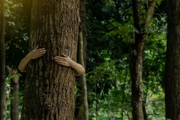 Human hand give hug to tree in forest.Concept of global problem of carbon dioxide and global warming.
