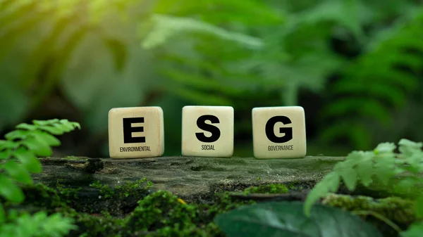 Ağ bağlantısında sürdürülebilir ve etik sektörde çevreci, sosyal ve yönetim için bir odun bloğunda ESG simgesi.