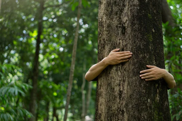 Human hand give hug to tree in forest.Concept of global problem of carbon dioxide and global warming.environment eco concept