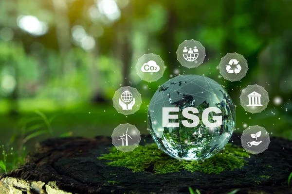 ESG Banner. Ağ bağlantısında sürdürülebilir ve etik sektörde çevre, sosyal ve yönetim için tkristal küreye ilişkin ESG simgesi kavramı.