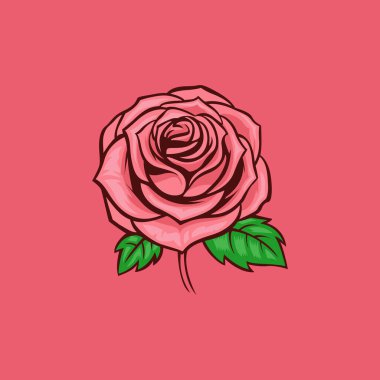 pembe arkaplanda gül çiçeği, vektör illüstrasyonu