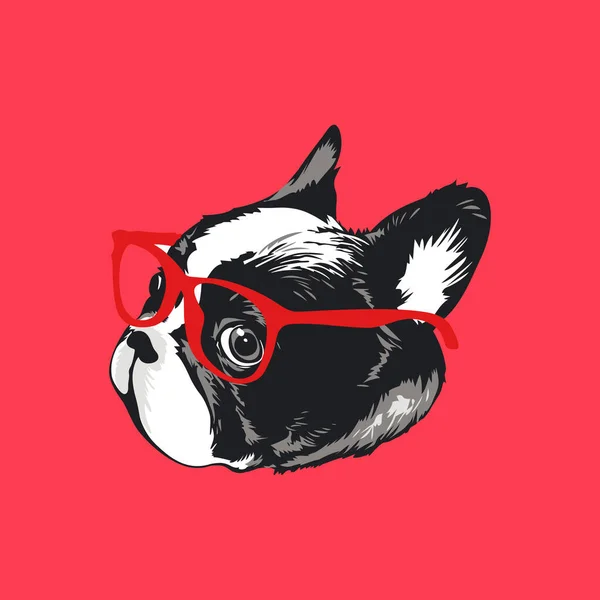 Illustration Vectorielle Mignon Bouledogue Français Hipster Lunettes — Image vectorielle