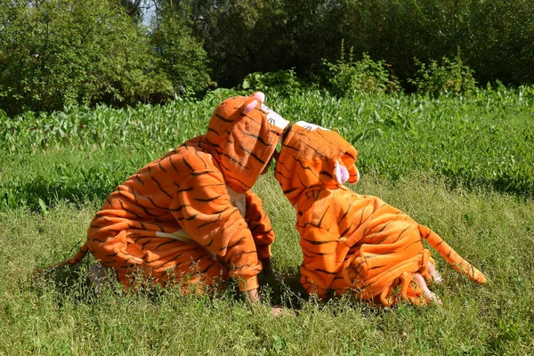 Şirin yavrular, kaplan kostümlü mutlu çocuklar burun buruna otururlar, yan yana, aşk, yeni yılı beklerler, hayvanat bahçesi, kaplan, vahşi hayvanlar.