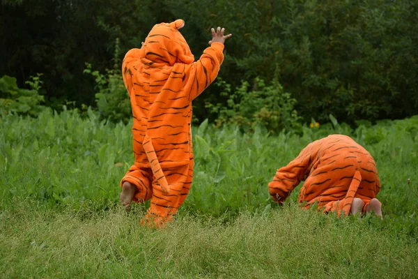 Küçük çocuk bir kaplan, arka plan, arka plan fotoğrafı, kaplanlar oynuyor, çocuklar yeşil çimlerde oynuyor, hayvanlar oyunu, kaplan yılı.