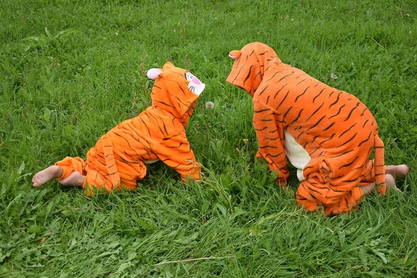 Küçük çocuk bir kaplan, yeşil çimenlerin üzerinde kaplan kostümü giymiş çocuklar çiçeklere, dost canlısı adamlara, hayvanlara, kaplan kostümüne bakar, yeni yıla hazırlanır, mutlu yıllar, kaplan yılı, 2022