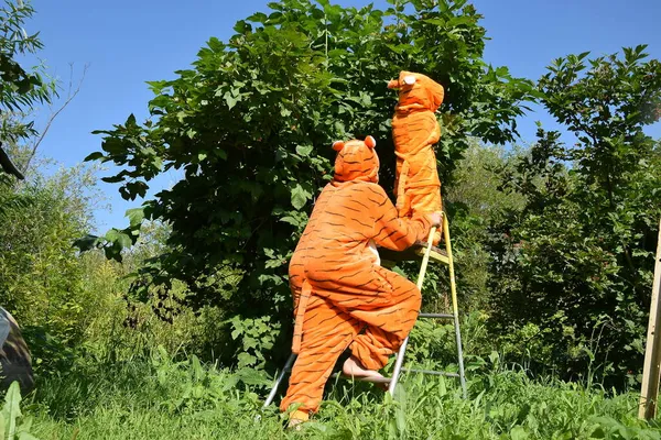 Çocuklar merdivenlerde, kaplan kostümlü çocuklar, hedefe ulaşıyorlar, yukarı çıkıyorlar, yeni yılı bekliyorlar, kaplan yılı, 2022, dikiz aynası, kaplan kuyruğu, yavrular, arka manzara, arkadan fotoğraf.