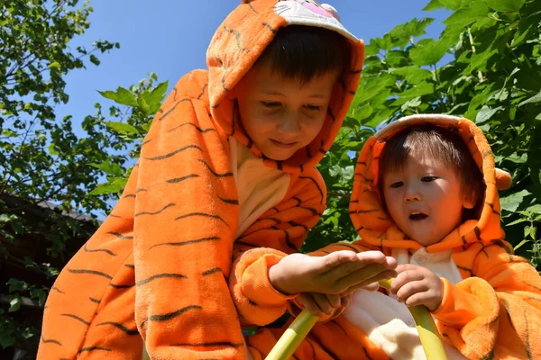 Çocuklar yazın bahçede, çocuklar kaplanlar, kaplan kostümü, 2022, kaplan yılı, duygu sürprizi, neşe, mutlu çocuklar.