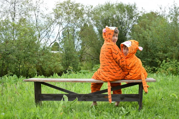 Kaplan kostümlü küçük çocuklar bahçede bir bankta, kaplanlar fotoğrafçıyı izliyor, kaplan yılı, 2022, yeni yılı bekliyor, kaplan kuyruğu, mesaj için yer, takvim için arka plan, not defteri, davetiyeler, reklam.