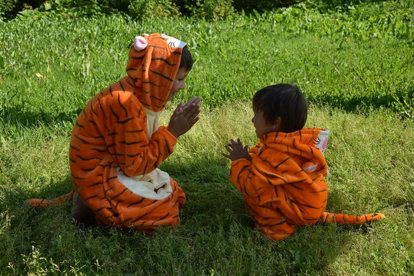 Yazın çayırdaki iki çocuk, kaplan kostümleri içinde, ellerinizi çırpın, kaplan yılı, 2022, arka plan, yeni yıl için parlak kostümler, mutlu yıllar, bayram, kaplan yavruları, vahşi hayvanların hayatı, mutlu çocuklar