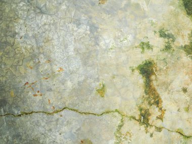 Gri parlak çimento için arka plan dokusu