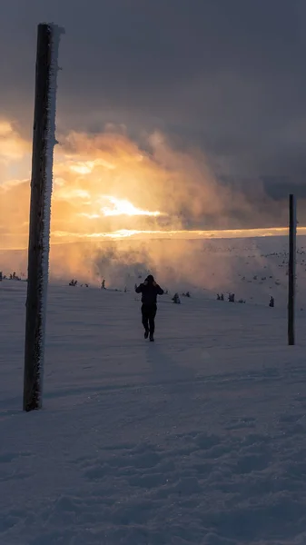silhouette ha atmospheric winter sunset background