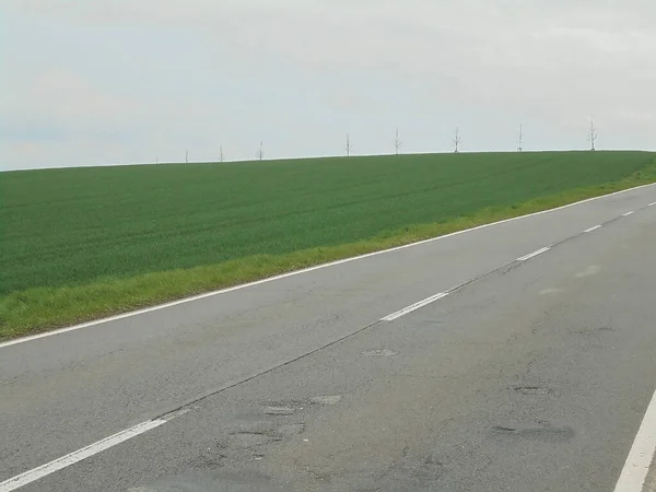 Vast Green Vegetation Growing Field Empty Village Road Foreground Spring — Stock Photo, Image