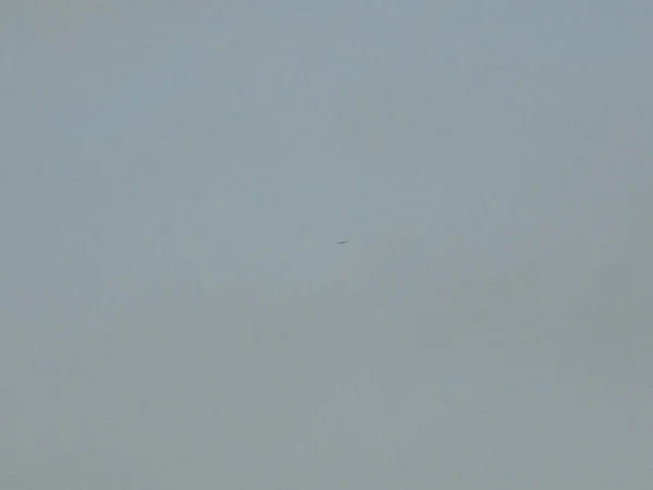 Long distance view on a very small silhouette of a bird, probably raptor, in an extreme distance,at the edge of visibility,on a clear sky, slowly turning gray during the approaching evening.