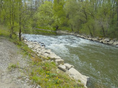 Bahar sahnesi: Kaya destekli kıyıları olan büyük geniş bir nehir. Yavaş, huzurlu akıntıdan söğüt ağaçlarının altındaki taşlık akıntılara doğru akıyor..