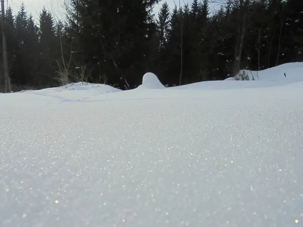 别斯基底山脉森林间草地上厚厚的积雪上闪闪发光的冰晶表面的细图 — 图库照片