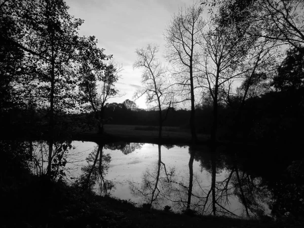 Retro Görüntü Günbatımı Sahnesi Bir Göleti Çevreleyen Ağaçlar Doğa Onun — Stok fotoğraf