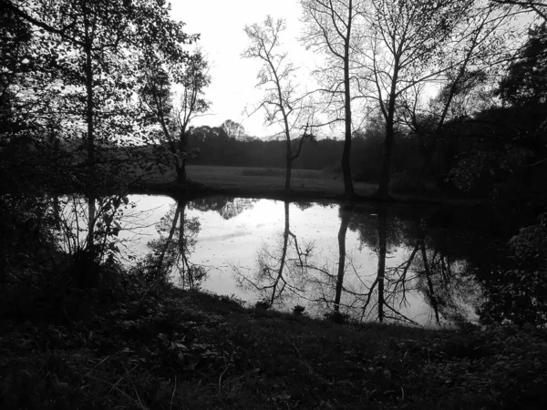 Feketefehér Kép Gyönyörű Őszi Esti Jelenet Csendes Nyugodt Vízfelülettel Tükröződő — Stock Fotó